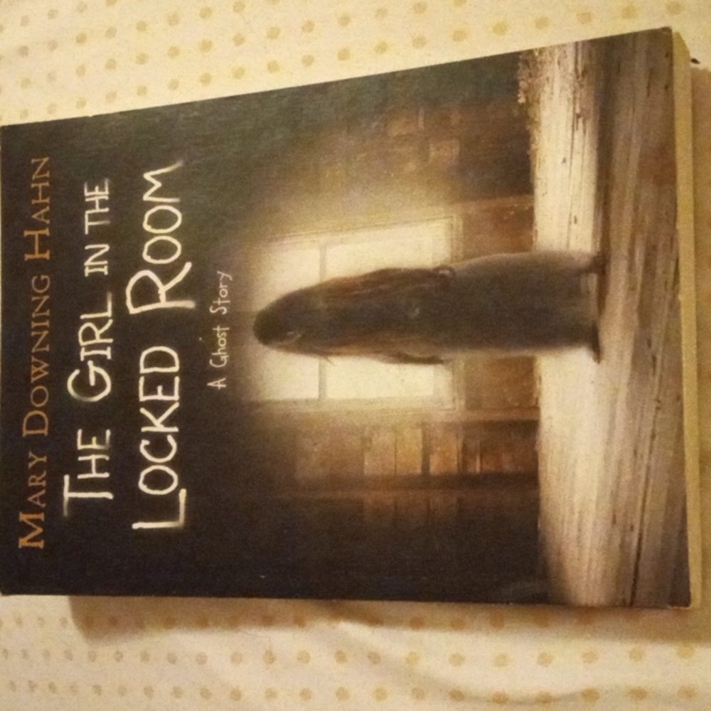 Book- The Girl In The Locked Room